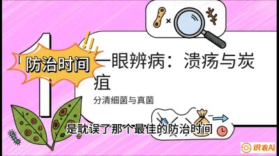 第三节：细菌与真菌&mdash;&mdash;溃疡病与炭疽病，课程：《柑橘十大病虫害：从入门到精通》