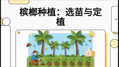 第01节：选苗与定植&mdash;&mdash;&ldquo;苗好一半收，底肥定千秋&rdquo;课程：《槟榔种植：从不懂到精通的10堂必修课》