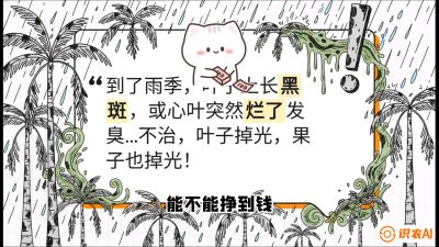 第05节：常见真菌病害&mdash;&mdash;&ldquo;炭疽与烂心，早防值千金&rdquo;《槟榔种植：从不懂到精通的10堂必修课》