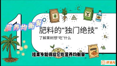 第07节：科学施肥&mdash;&mdash;&ldquo;氮磷钾配好，树壮果不倒