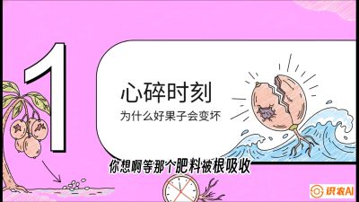 第08节：微量元素与保果&mdash;&mdash;&ldquo;补硼又补钙，果子不裂坏&rdquo;《槟榔种植：从不懂到精通的10堂必修课》