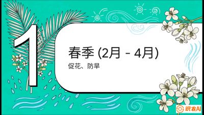 第10节：周年农事日历&mdash;&mdash;&ldquo;跟着节气走，丰产在手头&rdquo;《槟榔种植：从不懂到精通的10堂必修课》
