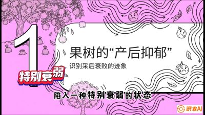 第2节：【冬肥策略】采后&ldquo;月子肥&rdquo;：大小年的精准干预术，课程：《柑橘底肥&ldquo;翻身账&rdquo;：从改土到高产的实战全书》