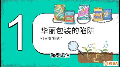 第4节：【黄金配方】底肥里的&ldquo;铁三角&rdquo;与&ldquo;微量雷区&rdquo;课程：《柑橘底肥&ldquo;翻身账&rdquo;：从改土到高产的实战全书》