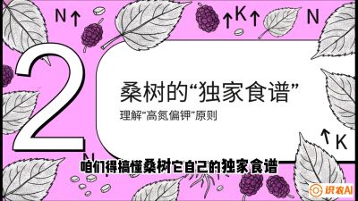 第04节：地下核动力&mdash;&mdash;桑树专用水肥一体化配方，课程：《桑海淘金：桑树高产与蚕桑安全进阶实战课》