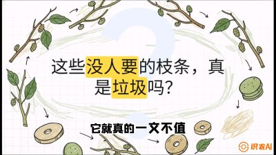 第12节：变废为宝&mdash;&mdash;循环农业实操，课程：《桑海淘金：桑树高产与蚕桑安全进阶实战课》