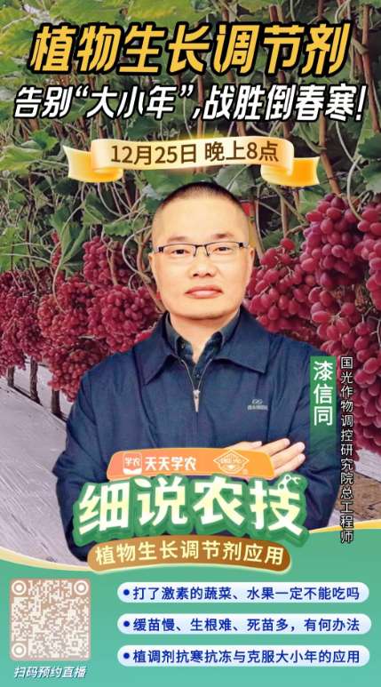 http://st-static1.tennissh.com/forums/2025/12/23/17664639985811.png