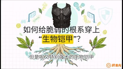 第三节：国产榴莲突围战：根系堡垒，菌根微生态构建与黄金定植窗口，课程：《国产榴莲突围战：从泰国经验到中国实操的8堂必修课（高阶实战版）》