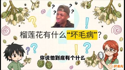 第六节：榴莲的午夜战事，夜间授粉战与花果期避雨策略，课程：《国产榴莲突围战：从泰国经验到中国实操的8堂必修课（高阶实战版）》