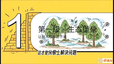 第七节：榴莲防御战：病虫害三级立体防控，疫霉菌与虫害的立体封锁线，课程：《国产榴莲突围战：从泰国经验到中国实操的8堂必修课（高阶实战版）》