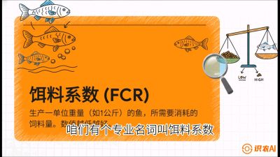 第五节：【高端单品&middot;鳜鱼】&ldquo;饲料鳜&rdquo;技术：打破吃活饵的高成本魔咒，课程：《黄金鳞甲：2025中国淡水鱼高效养殖实战营》