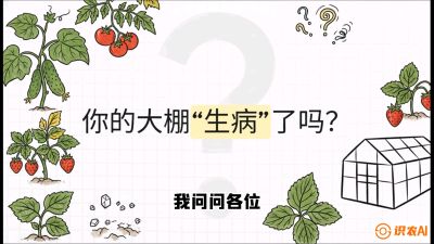 第2节（解毒篇）： 大棚里的&ldquo;红白绿&rdquo;警报&mdash;&mdash;读懂土壤盐渍化的求救信号，课程：《揭秘土壤的秘密：让土地帮你赚钱》#识农AI
