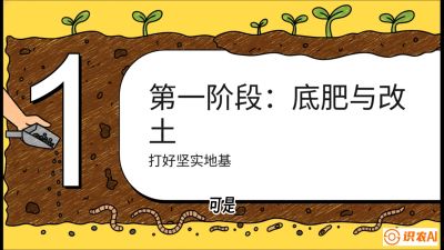 第6节（统筹篇）： 省钱又增产的&ldquo;黄金配比&rdquo;&mdash;&mdash;不同作物全年的养土实操方案，课程：《揭秘土壤的秘密：让土地帮你赚钱》#识农AI