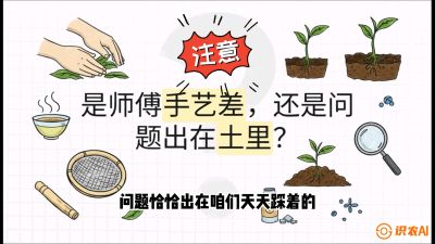 第02节（土肥篇）：告别&ldquo;苦涩水味&rdquo;：揭秘&ldquo;碳氮比&rdquo;调控术，种出自带兰花香的好茶底，课程：《茶金时代：从&ldquo;看天吃饭&rdquo;到&ldquo;精准控局&rdquo;的茶叶高产提质实战课》