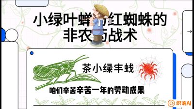第03节（虫害篇）：看不见的吸血鬼：小绿叶蝉与红蜘蛛的&ldquo;非农药&rdquo;团灭战术（抗性治理），课程：《茶金时代：从&ldquo;看天吃饭&rdquo;到&ldquo;精准控局&rdquo;的茶叶高产提质实战课》