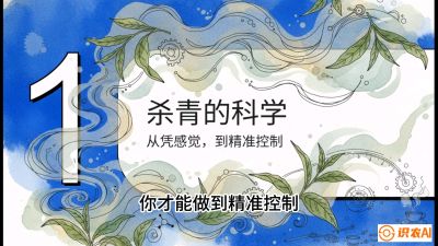 第05节（加工篇）：决胜2分钟：用&ldquo;数字温控&rdquo;破解杀青不匀，复刻大师级手工口感，课程：《茶金时代：从&ldquo;看天吃饭&rdquo;到&ldquo;精准控局&rdquo;的茶叶高产提质实战课》