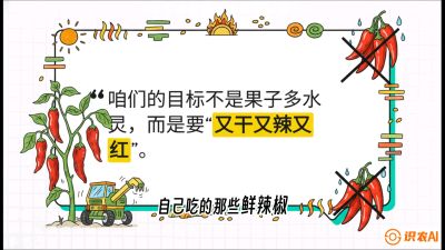 第7节：【工业辣椒专场】追求极致辣度！干物质提升与机械化采收的&ldquo;催红秘籍&rdquo;，课程：《辣椒种植实战特训营，从工业辣椒到精品小米辣，教你如何把&ldquo;草&rdquo;种成&ldquo;金&rdquo;》