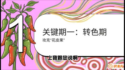 第8节：【小米辣线椒专场】颜值即正义！防花皮、防炭疽，打造收购商抢着要的&ldquo;精品果&rdquo;，课程：《辣椒种植实战特训营，从工业辣椒到精品小米辣，教你如何把&ldquo;草&rdquo;种成&ldquo;金&rdquo;》
