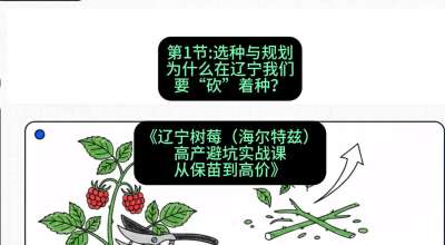 第一节： 选种与规划&mdash;&mdash;为什么在辽宁我们要&ldquo;砍&rdquo;着种？，课程：《辽宁树莓（海尔特兹）高产避坑实战课：从保苗到高价》