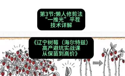 第三节： 懒人修剪法&mdash;&mdash;&ldquo;一推光&rdquo;平茬技术详解，课程：《辽宁树莓（海尔特兹）高产避坑实战课：从保苗到高价》