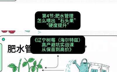 第四节： 肥水管理&mdash;&mdash;怎么喂出&ldquo;石头果&rdquo;（硬度提升），课程：《辽宁树莓（海尔特兹）高产避坑实战课：从保苗到高价》