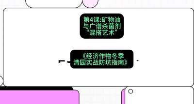第4节：【替代方案】矿物油与广谱杀菌剂的&ldquo;混搭艺术&rdquo;，课程：《经济作物冬季清园&middot;实战防坑指南》#识农AI