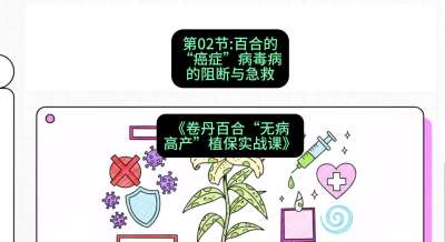 第02节：百合的&ldquo;癌症&rdquo;&mdash;&mdash;病毒病的阻断与急救，课程：《卷丹百合&ldquo;无病高产&rdquo;植保实战课》#识农AI