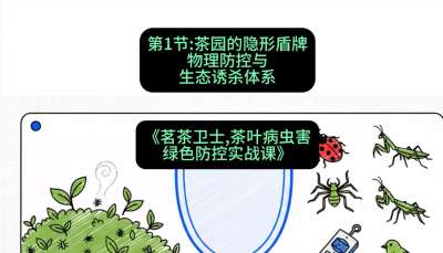 第01节：茶园的&ldquo;隐形盾牌&rdquo;&mdash;&mdash;物理防控与生态诱杀体系，课程：《茗茶卫士&mdash;&mdash;茶叶病虫害绿色防控实战课》#识农AI