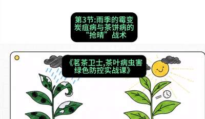 第03节：雨季的霉变&mdash;&mdash;炭疽病与茶饼病的&ldquo;抢晴&rdquo;战术，课程：《茗茶卫士&mdash;&mdash;茶叶病虫害绿色防控实战课》#识农AI