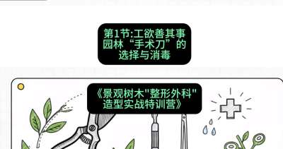 第01节：工欲善其事&mdash;&mdash;园林&ldquo;手术刀&rdquo;的选择与消毒，课程：《景观树木&ldquo;整形外科&rdquo;造型实战特训营》#识农AI