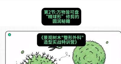 第02节：万物皆可盘&mdash;&mdash;&ldquo;精球形&rdquo;修剪的圆润秘籍，课程：《景观树木&ldquo;整形外科&rdquo;造型实战特训营》#识农AI