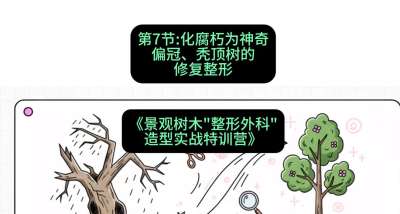 第07节：化腐朽为神奇&mdash;&mdash;偏冠、秃顶树的修复整形，课程：《景观树木&ldquo;整形外科&rdquo;造型实战特训营》#识农AI