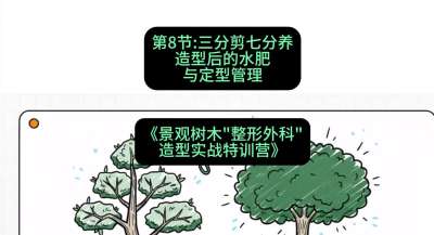 第08节：三分剪七分养&mdash;&mdash;造型后的水肥与定型管理，课程：《景观树木&ldquo;整形外科&rdquo;造型实战特训营》#识农AI