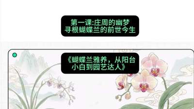 第一节：庄周的幽梦：寻根蝴蝶兰的前世今生，课程：《蝴蝶兰雅养六讲：从阳台小白到园艺达人》#识农AI