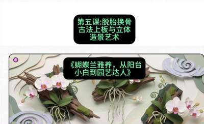 第五节：脱胎换骨：古法上板与立体造景艺术，课程：《蝴蝶兰雅养六讲：从阳台小白到园艺达人》#识农AI