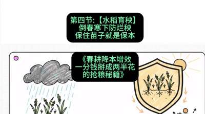 第四节：【水稻育秧】倒春寒下防烂秧，保住苗子就是保本