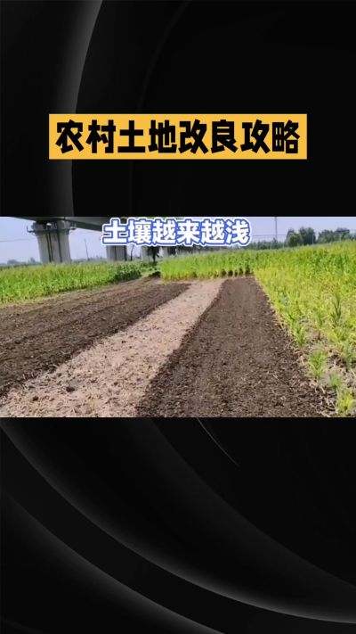 1. 先搞懂：你到底要改良哪块地、种什么
 
- 土土土在哪里？
就是你自家农田、菜地、果园，哪块地想种庄稼，就测哪块地的土。
​
- 有水没有水？
有水能浇：改良更省事，施肥、调酸碱都好操作。
没水