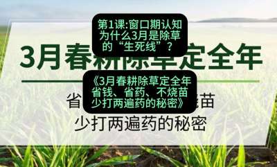 第1节：窗口期认知，为什么3月是除草的&ldquo;生死线&rdquo;？，课程：《3月春耕除草定全年：省钱、省药、不烧苗、少打两遍药的秘密》