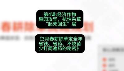第4节：经济作物果园攻坚，抗性杂草&ldquo;起死回生&rdquo;局，课程：《3月春耕除草定全年：省钱、省药、不烧苗、少打两遍药的秘密》