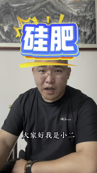 硅肥，作物的&ldquo;防护盾&rdquo;