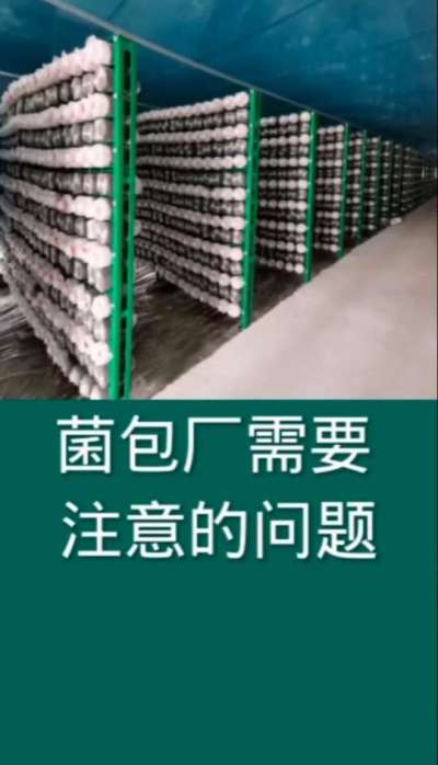 菌包厂需要注意的问题