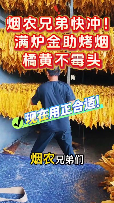 烟农兄弟快冲！满炉金助烤烟橘黄不霉头，现在用正合适！