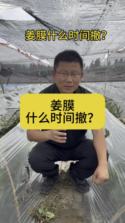 姜膜什么时间撤？