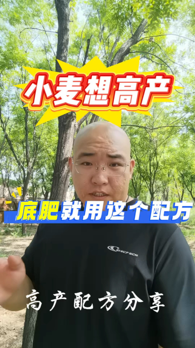 小麦底肥就用这个配方