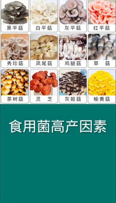 食用菌高产因素