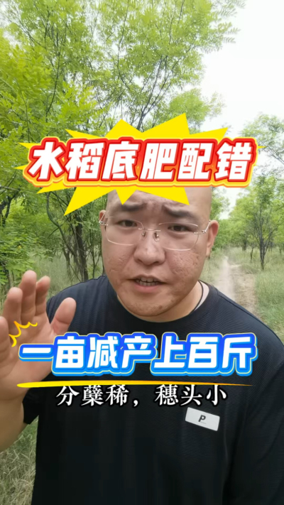 水稻底肥配错分蘖稀