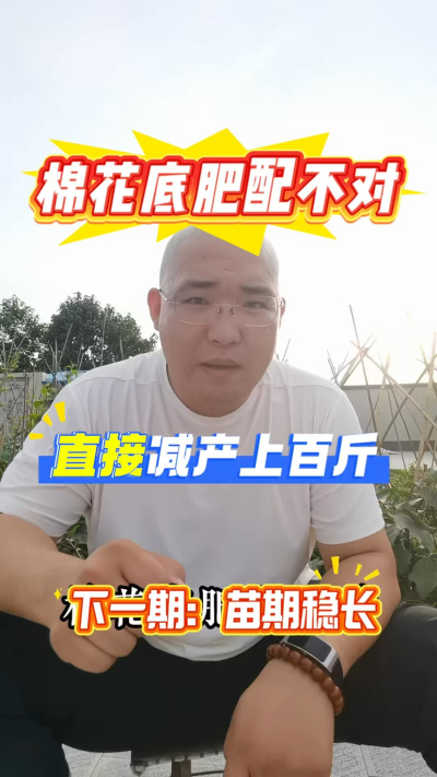 棉花底肥两个核心