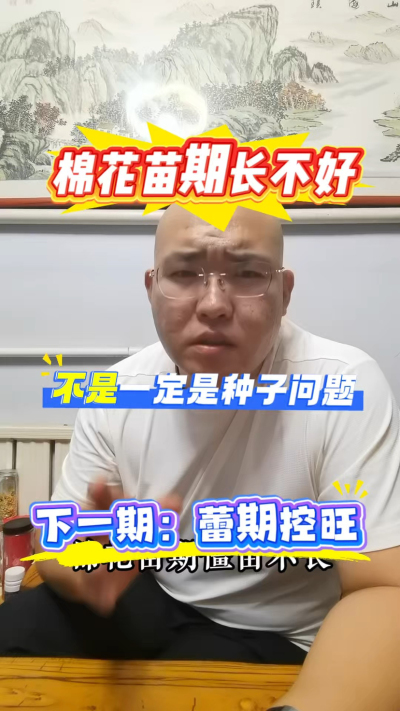 棉花苗期长不好，不一定是种子的问题