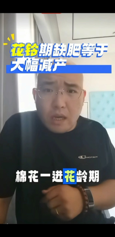 棉花一进花铃期，缺钾缺硼