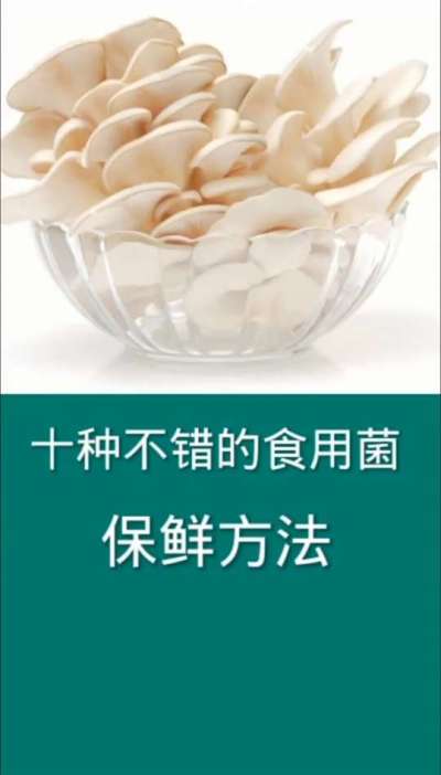十种不错的食用菌保鲜方法